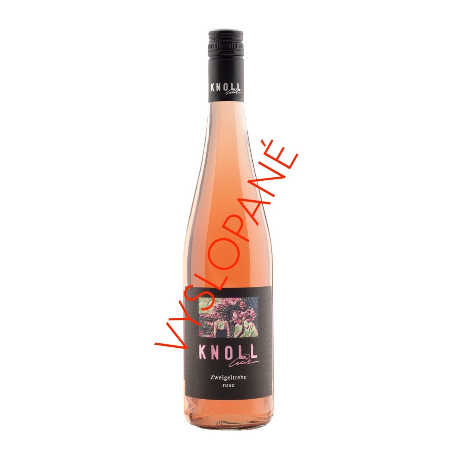 Zweigeltrebe rose 2021